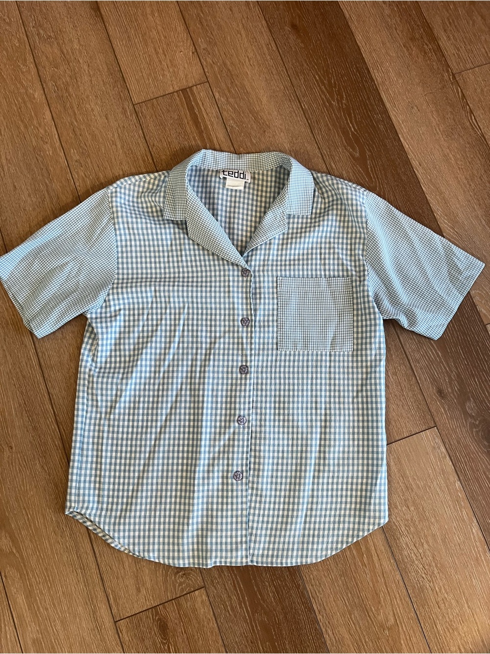 Teddi short sleeve blue gingham button up shirt
cottagecore summer
